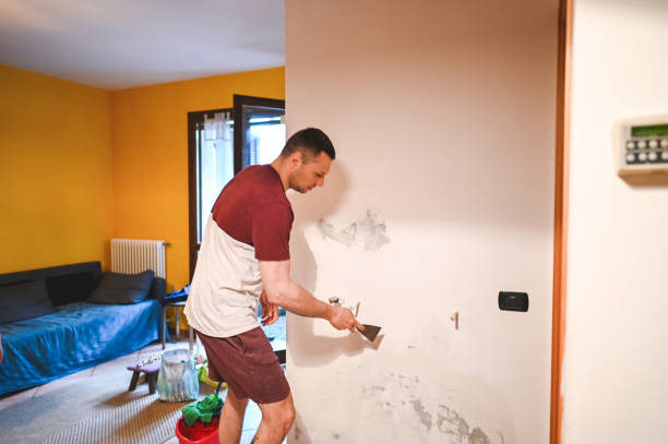 Best Mold Remediation  in Florence, AL
